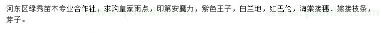 求購皇家雨點(diǎn)、印第安魔力、紫色王子接穗等