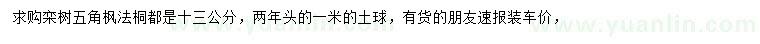 求購欒樹、五角楓、法桐