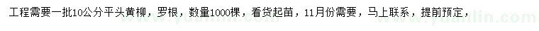 求購(gòu)10公分黃柳