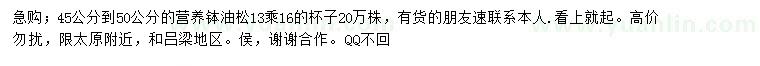求購高45-50公分油松