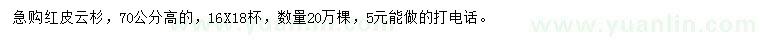 求購70公分高紅皮云杉