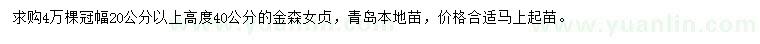 求購高度40公分金森女貞