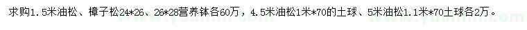 求購1.5米油松、樟子松