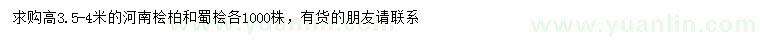 求購高3.5-4米河南檜柏、蜀檜