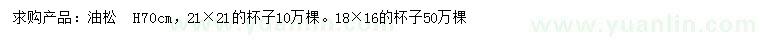 求購高70公分油松