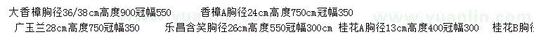 求購香樟、廣玉蘭、樂昌含笑等