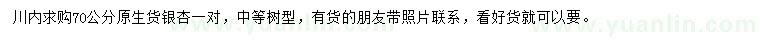 求購(gòu)70公分銀杏