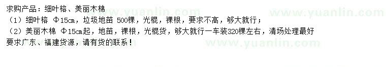 求購15公分細(xì)葉榕、美麗木棉