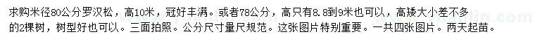 求購米徑80公分羅漢松