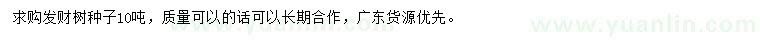 求購發(fā)財樹種子
