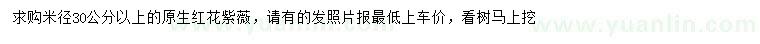 求購米徑30公分以上原生紅花紫薇