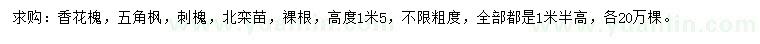 求購香花槐、五角楓、刺槐等