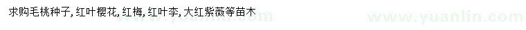 求購毛桃種子、紅葉櫻花、紅梅等