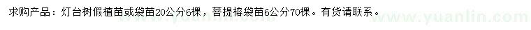 求購20公分燈臺(tái)樹、6公分菩提榕