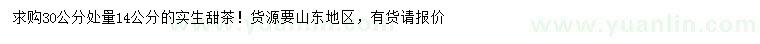 求購14公分甜茶