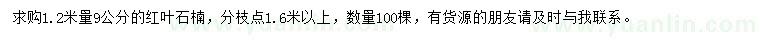 求購1.2米量9公分紅葉石楠