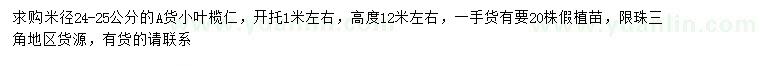 求購米徑24-25公分小葉欖仁