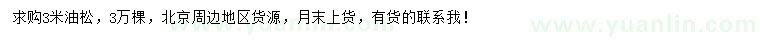 求購3米油松
