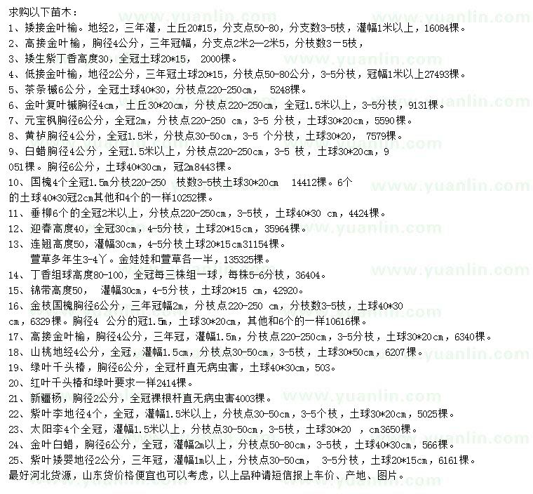 求購矮接金葉榆、紫丁香、茶條槭等