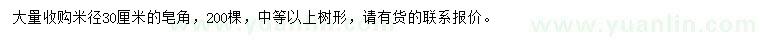 求購米徑30公分皂角
