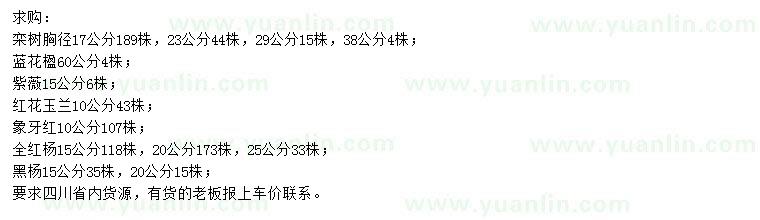 求購(gòu)欒樹、藍(lán)花楹、紫薇等