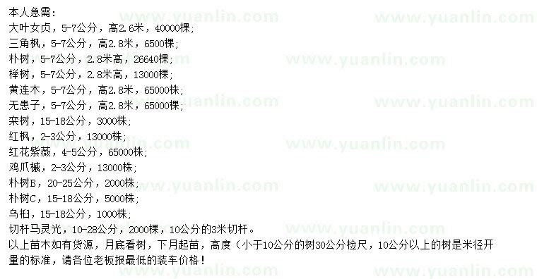 求購大葉女貞、三角楓、樸樹等