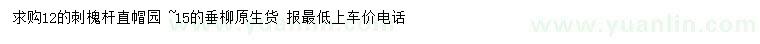 求購(gòu)12公分刺槐、15公分垂柳