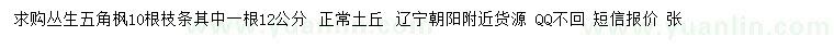 求購叢生五角楓