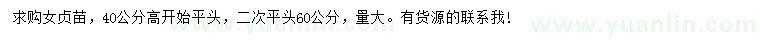 求購女貞苗