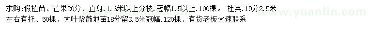 求購(gòu)芒果、杜英、大葉紫薇