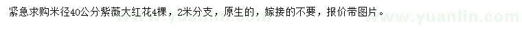 求購米徑40公分紫薇