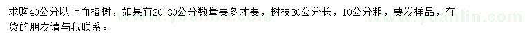 求購40公分以上血榕樹