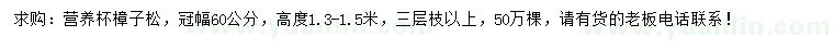 求購(gòu)高1.3-1.5米樟子松