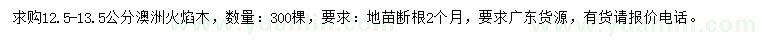 求購12.5-13.5公分澳洲火焰木