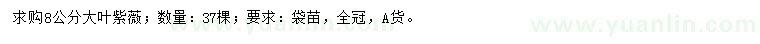 求購8公分大葉紫薇