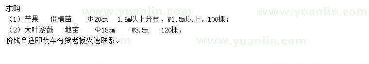 求購米徑20公分芒果、米徑18公分大葉紫薇