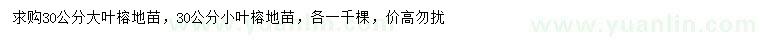 求購(gòu)30公分大葉榕、小葉榕