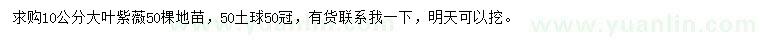 求購10公分大葉紫薇