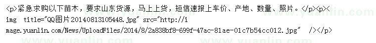 求購雪松、大葉女貞、樸樹等