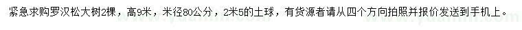 求購米徑80公分羅漢松