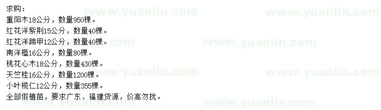 求購(gòu)重陽(yáng)木、紅花洋紫荊、紅花洋蹄甲等
