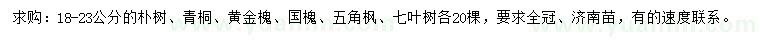 求購樸樹、青桐、黃金槐等