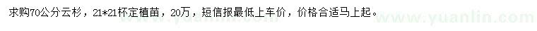求購(gòu)70公分云杉