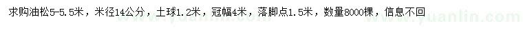 求購(gòu)5-5.5米油松