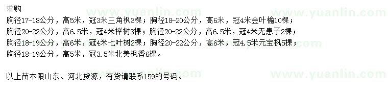 求購三角楓、金葉榆、櫸樹等