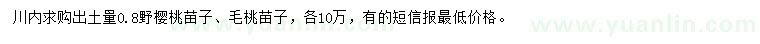 求購野櫻桃苗子、毛桃苗子