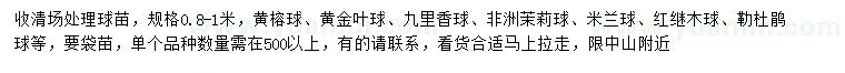 求購(gòu)黃榕球、黃金葉球、九里香球等