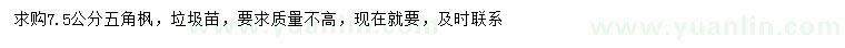 求購7.5公分五角楓