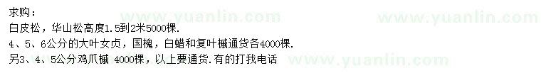 求購白皮松、華山松、大葉女貞等