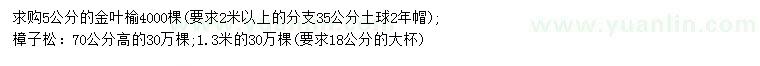 求購(gòu)5公分金葉榆、高70公分樟子松